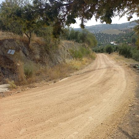 Alojamiento Rural El Yate Villa Montefrio Exterior photo